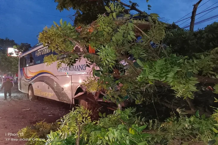 Nahas! Bus Pariwisata...
