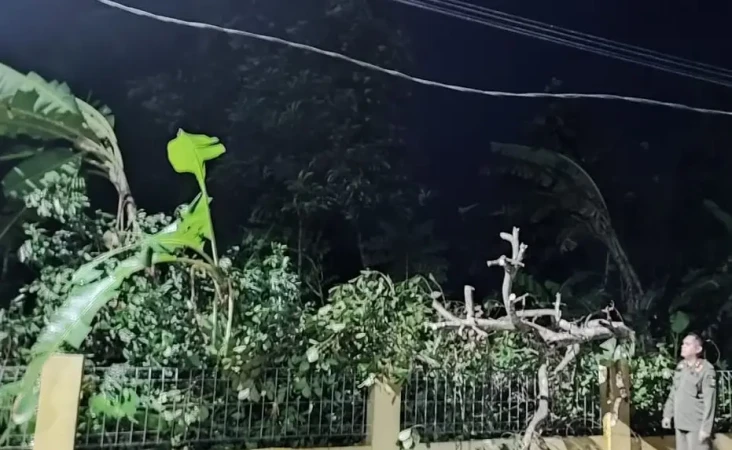 66 Rumah, Sekolah dan...