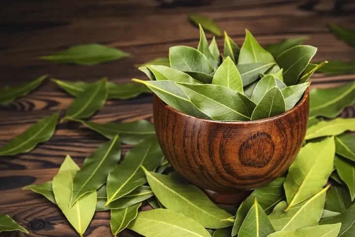 5 Daun Herbal yang Bisa...