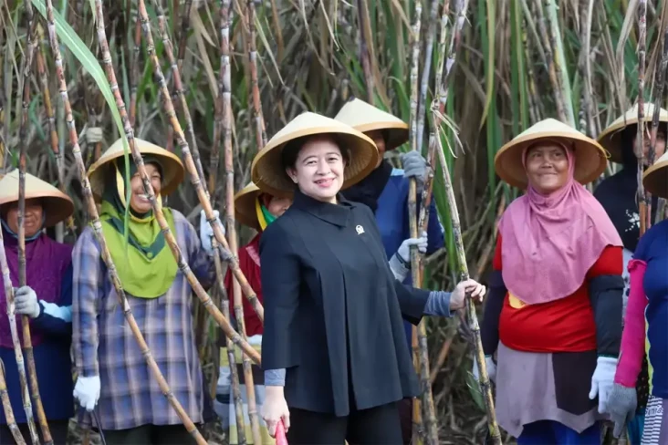 Puan Tanggapi Pembentukan...