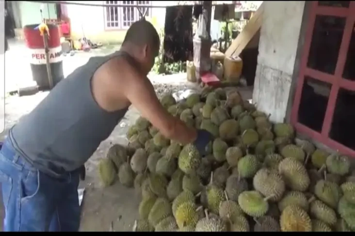 Panen Melimpah, Harga...