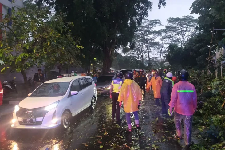 Hujan Lebat, Pohon Tumbang...