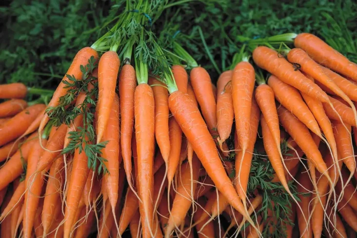 6 Sayuran yang Menyebabkan...