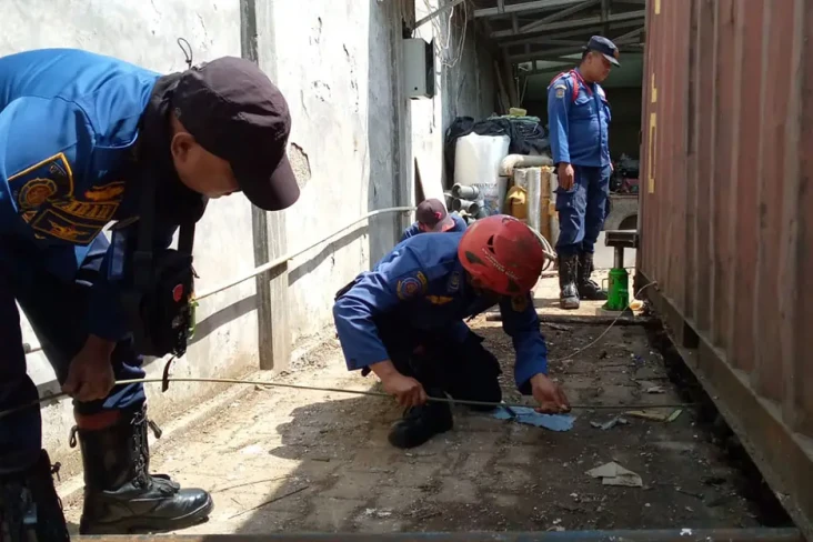 Damkar Bogor Evakuasi...