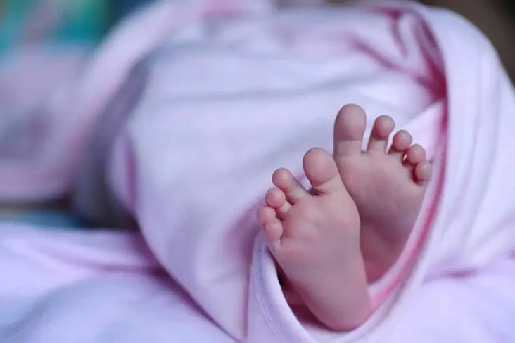 Jual Beli Bayi di Bogor,...
