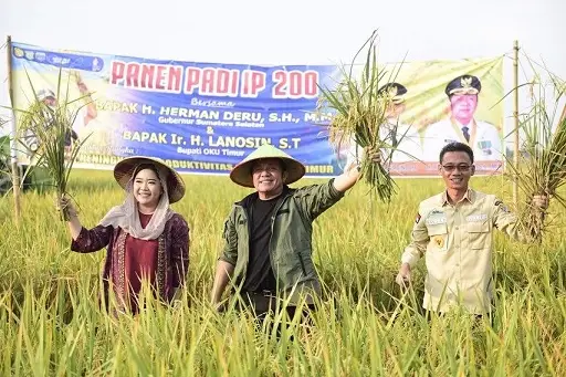 Dorong Kemandirian Pangan...