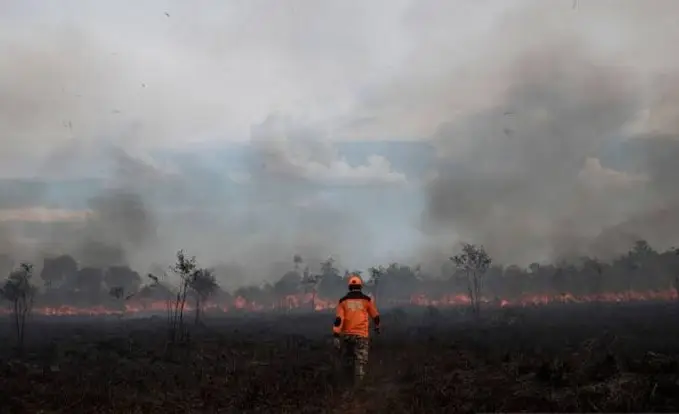 5 Hektare Lahan Semak...