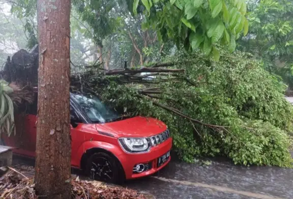 Hujan Badai Akibatkan...