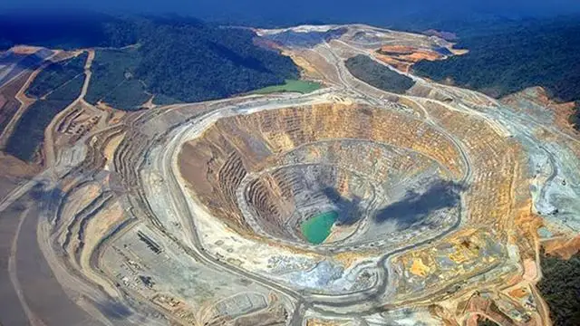 Sejak 1991, Freeport...