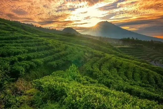 Liburan ke Dieng, Kunjungi...