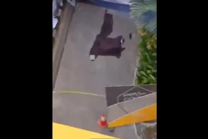 Horor! Mahasiswa Baru...