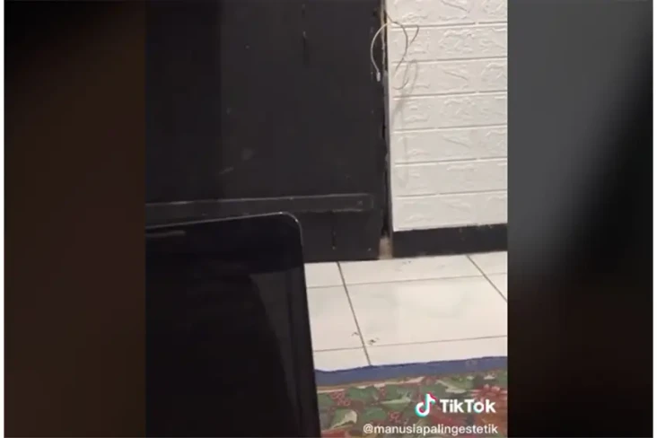 Viral! Video Rekaman...