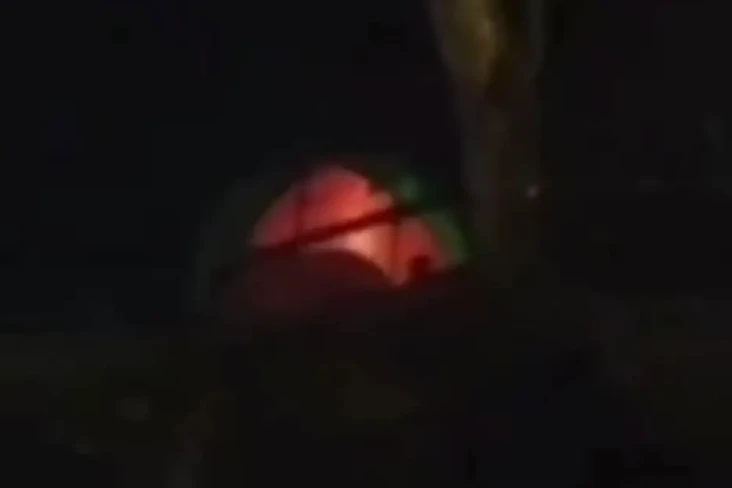 Viral Sejoli Diduga...