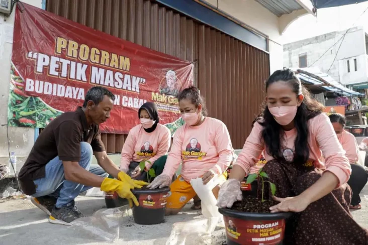 Program Petik Masak,...
