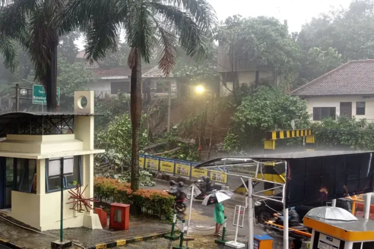 Tebing Longsor di Dekat...