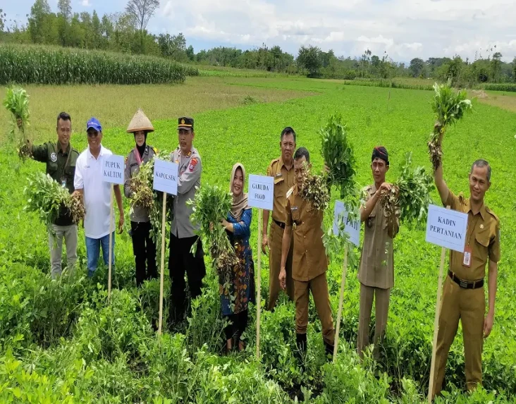 Tindaklanjut Agrosolution...
