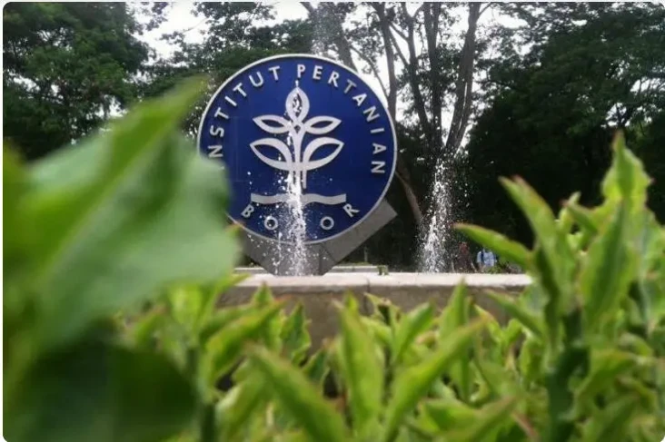 Cuaca Ekstrem, IPB University...