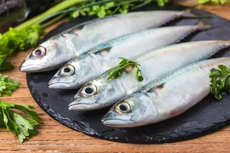 Apakah Gizi Salmon Lebih...