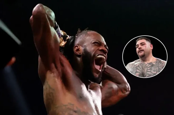 Deontay Wilder vs Andy...