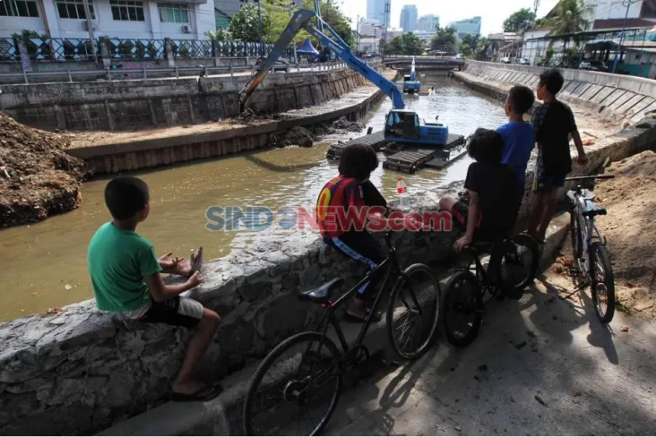 Normalisasi Sungai di...