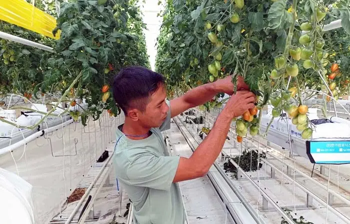 Petani Milenial Kalsel...