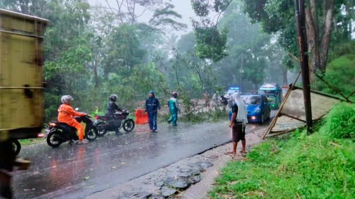 Tertimpa Pohon saat...