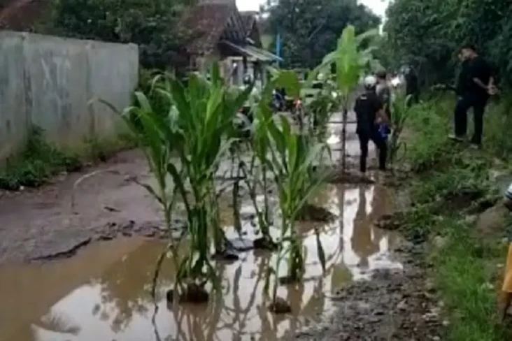 Merasa Tak Diperhatikan,...