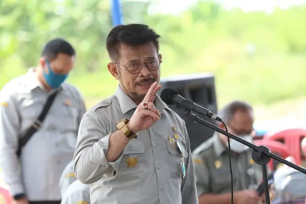 Panen Padi Melimpah,...