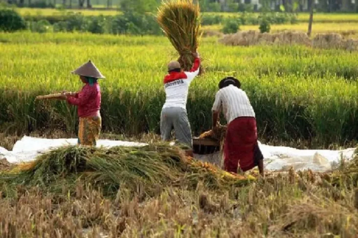 Stabilkan Harga, Mentan...
