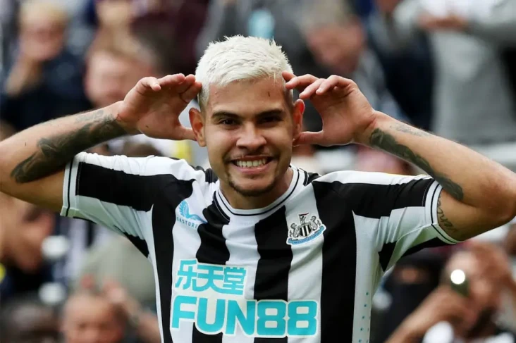 Gelandang Newcastle...