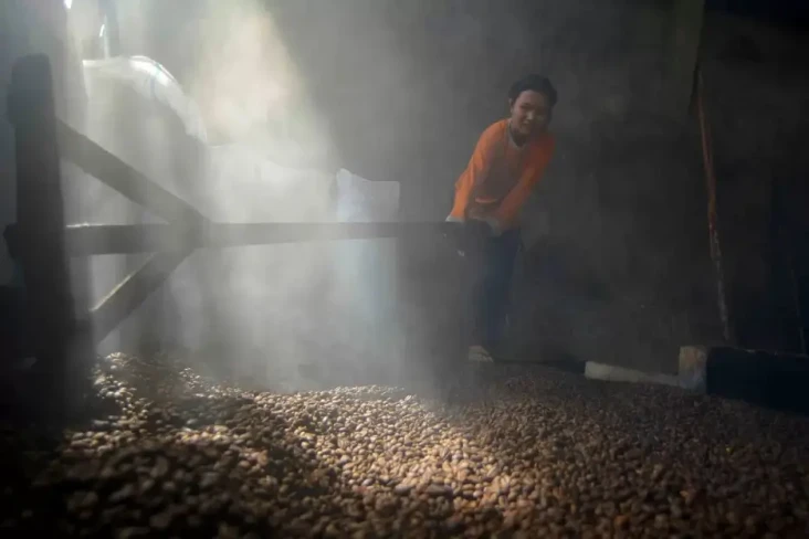 Ekspor Kopi Indonesia...