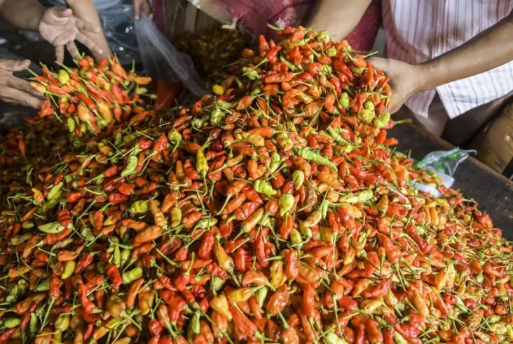 Siap-siap Bunda, Harga...