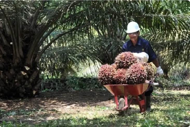 GAPKI Dorong Industri...