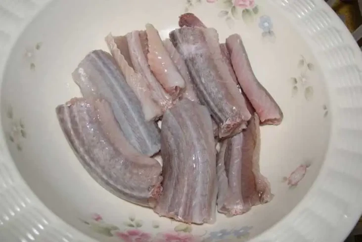 Ini Bagian Tubuh Ular...