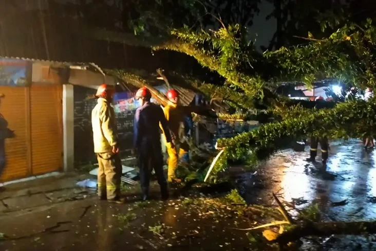 Pohon Tumbang di Jalan...