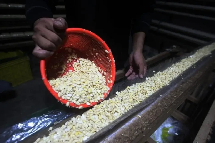 Subsidi Kedelai Diusulkan...