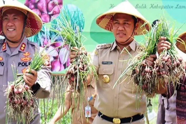 Ketahanan Pangan di...