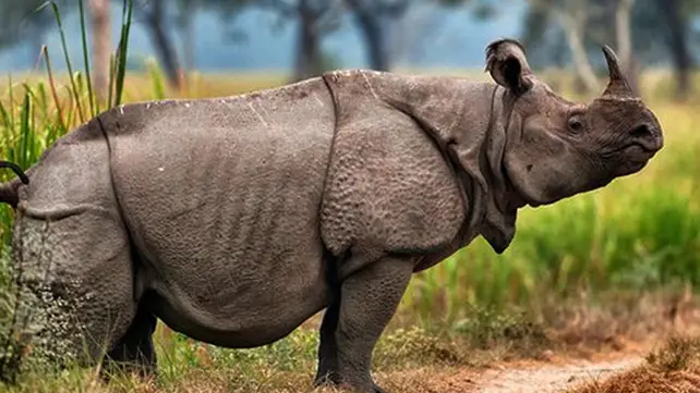 Afrika Tuding Eropa...