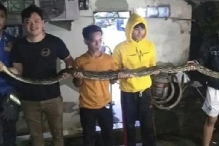 Damkar Bogor Evakuasi...