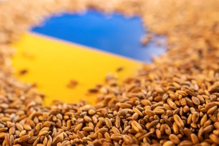 Dubes Ukraina Tuding...