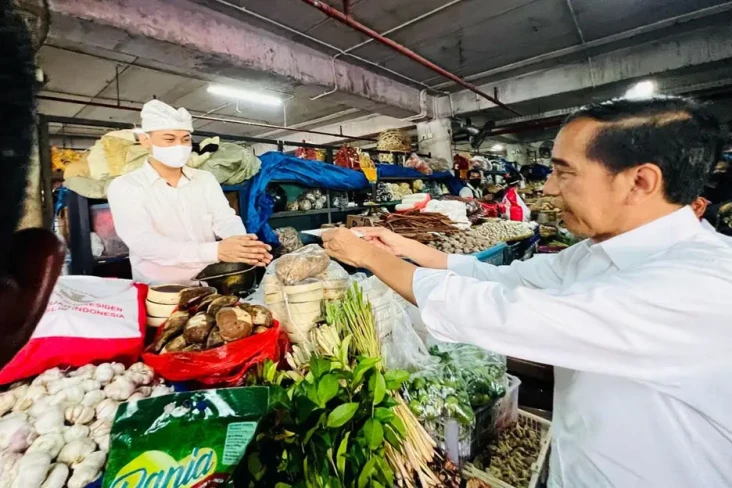 Usai KTT G20, Jokowi...