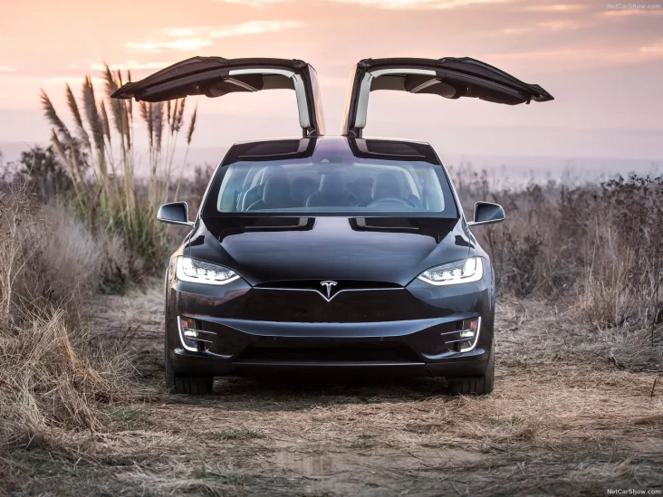 30.000 Tesla Model X...