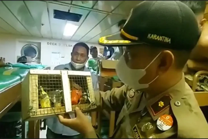 BBKSDA Gagalkan Penyelundupan...