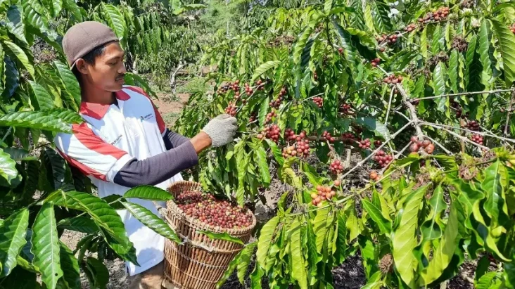 PGE Ulubelu Gelar Rumah...
