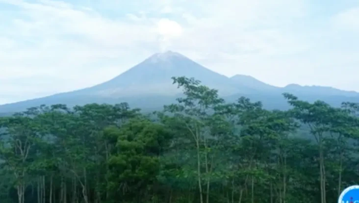 Gunung Semeru Kembali...