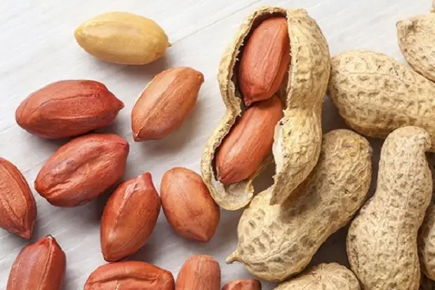 Apakah Kacang Tanah...