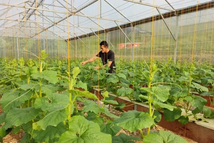Petani Bali Diajak Kembangkan...