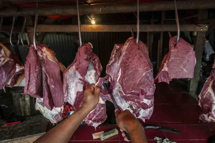 Impor Daging Sapi Masih...