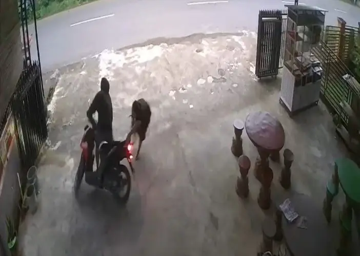 Aksi Heroik Gadis Lubuklinggau...