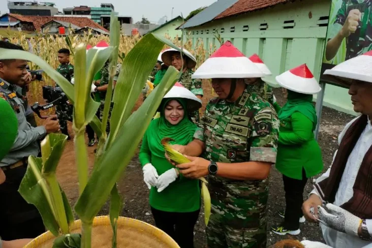 Panen Raya 1.000 Kg,...